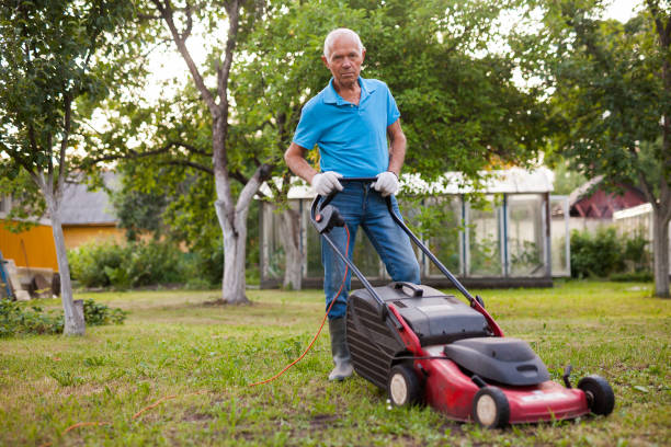 잔디 깎는 기계와 긍정적 인 노인 잔디 깎기 때 잔디 깎기 - rotary mower 뉴스 사진 이미지