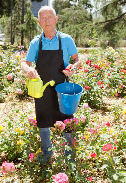 istock Man with bucket at flower bed 1187673618
