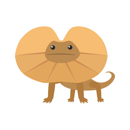 Frill-necked lizard. Frilled lizard. Isolated vector illustration