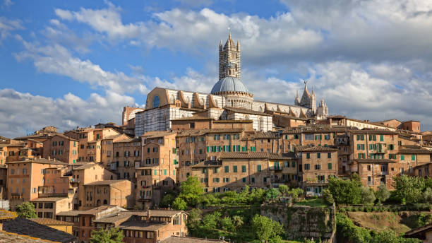 istock Old houses in historic centre in Siena 1187674901