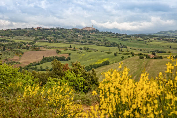 istock The rolling hills and green fields in Tuscany 1187674999