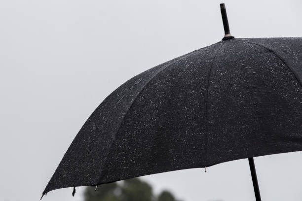 istock Rain And Wind On Black Umbrella - Weather Concept. 1187675015