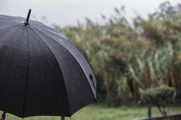 istock Rain And Wind On Black Umbrella - Weather Concept. 1187675059