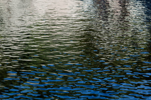 istock Water of a river 1187675364
