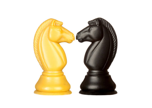 black chess horse on white background