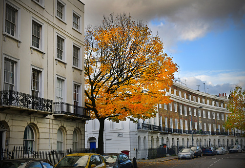 Autumn colour in Mornington Crescent, a residential street in Camden Town, London, UK.
