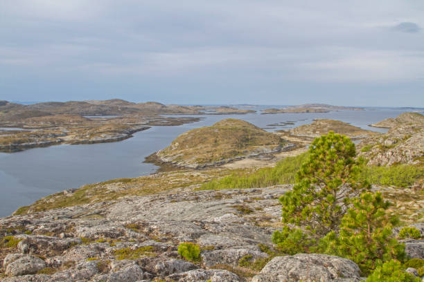 istock Tjoernsey on Ytre Vikna 1187679268