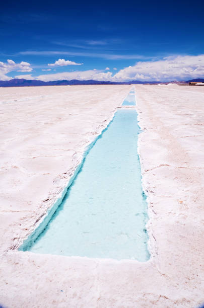 istock North of Argentina 1187679328