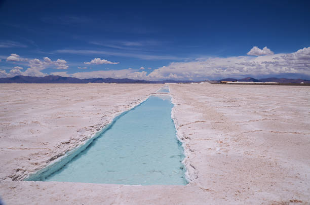 istock North of Argentina 1187679333