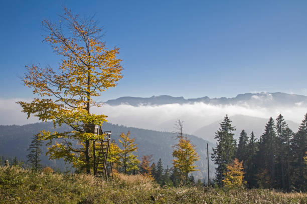 долина в тумане покрыты isarwinkel - inversion layer стоковые фото и изображения