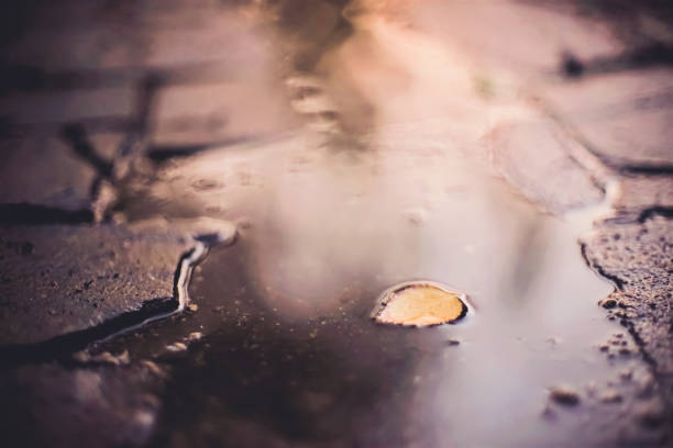 istock puddle with leaf on a stone road, reflection of light in water 1187680115