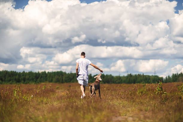istock Man walking with dog in rural field 1187680323
