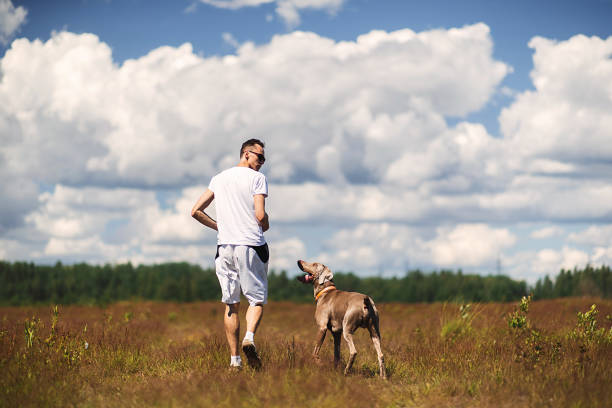 istock Man walking with dog in rural field 1187680325