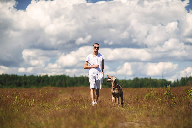 istock Man walking with dog in rural field 1187680333