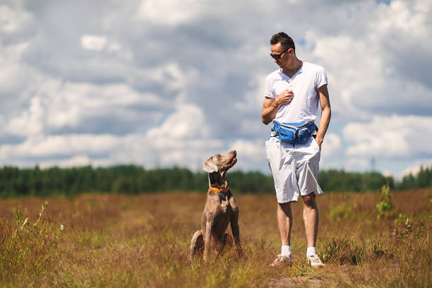 istock Man training dog in rural field in summer day 1187680341