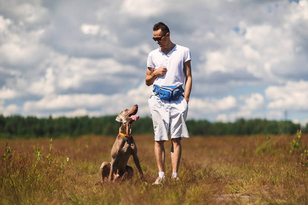 istock Man training dog in rural field in summer day 1187680347