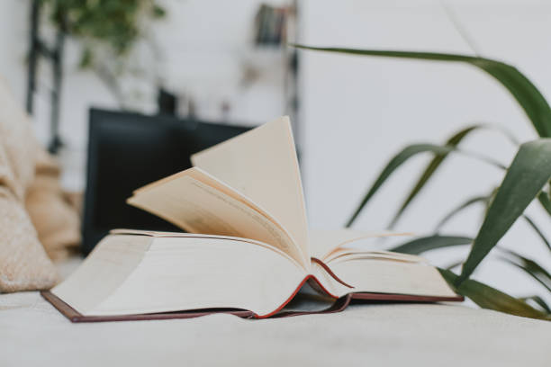 istock black laptop screen blurred on beige sofa white wall green flower. the book on the front . working space freelance loft 1187686295