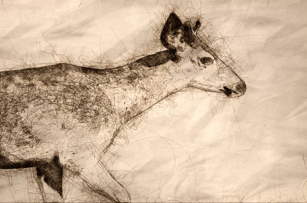 istock Sketch of the Profile of a Buck Deer 1187686711