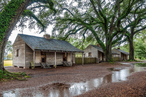奴隷 納屋 ニューオーリンズのオークアレープランテーションの奴隷小屋のアベニュー - オークアレープランテーションのストックフォトや画像を多数ご用意 - オークアレープランテーション, 25セント硬貨, アベニュー - iStock