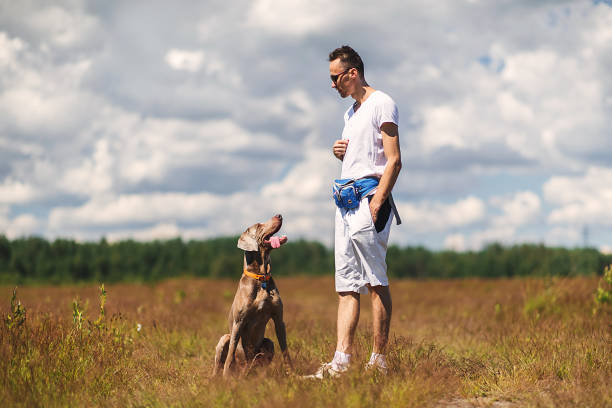 istock Man training dog in rural field in summer day 1187688875