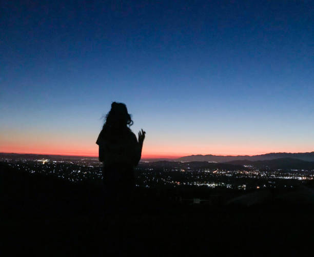 Sycamore Silhouette Image of a girl silhouette with the sun setting and city sky line. silhouette of a sycamore tree stock pictures, royalty-free photos & images