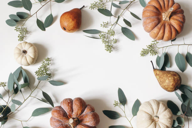 cadre floral d'automne, banni�ère de web. guirlande des feuilles d'eucalyptus de baies, branches, fruit de poire, citrouilles oranges et blanches d'isolement sur le fond blanc de table. automne, thanksgiving design. flat lay, vue du haut. - autumn thanksgiving leaf garland photos et images de collection