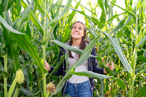Portrait of a Happy Young woman in a Cornfield