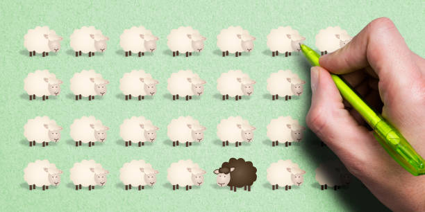Flock of sheep
