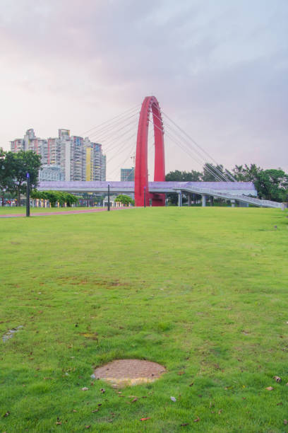 istock Green field in the park. 1187713125