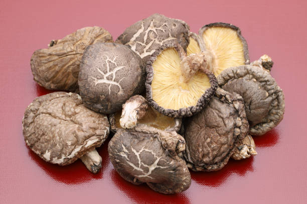 setas shiitake secas japonesas - shiitake mushroom mushroom dried food dried plant fotografías e imágenes de stock