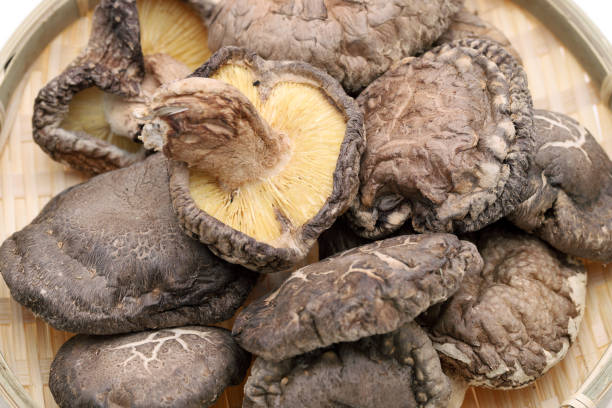 funghi shiitake essiccati giapponesi - shiitake mushroom mushroom dried food dried plant foto e immagini stock