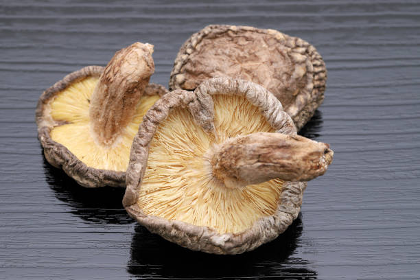 funghi shiitake essiccati giapponesi - shiitake mushroom mushroom dried food dried plant foto e immagini stock