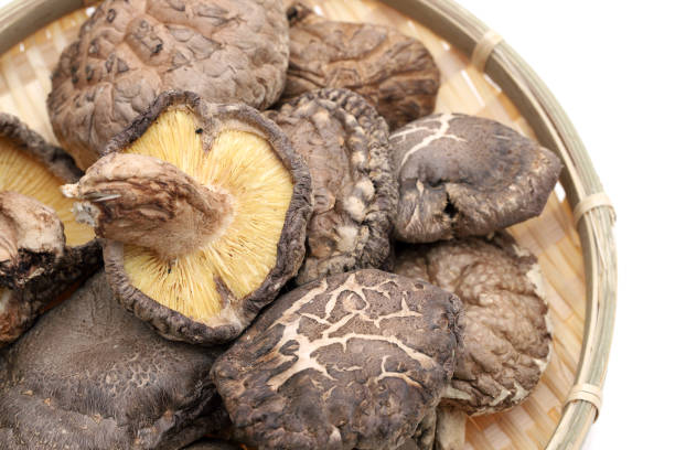 funghi shiitake essiccati giapponesi - shiitake mushroom mushroom dried food dried plant foto e immagini stock