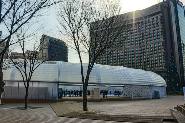 Seoul Plaza is located by Seoul City Hall. The square is very lively with decorated trees and skate rings at the end of the year./ Jung-gu, Seoul, South Korea/ 1-1-2019