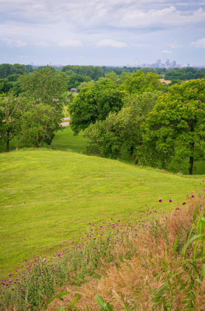 On top of Cahokia Mounds State Historic Site