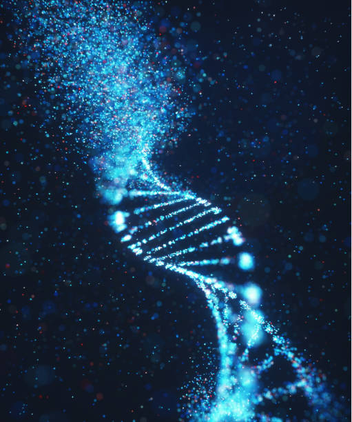 oxidative dna damage genetic disorder molecular structure - morphology imagens e fotografias de stock