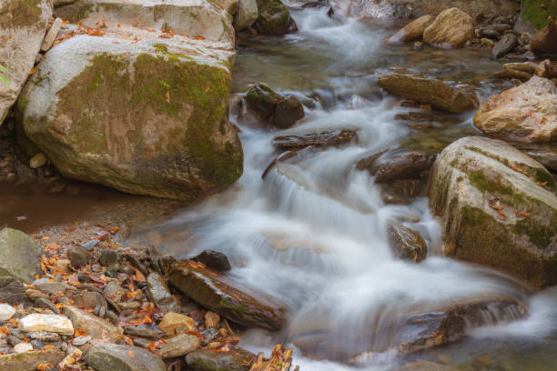 istock Long Exposure shot of a waterfall 1187729054