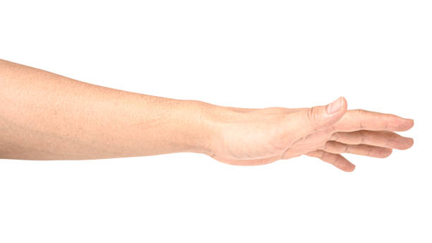 istock Hand open and ready to help or receive. Gesture isolated on white background with clipping path. 1187729630