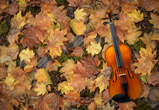 istock Violin Lying on Red and Orange Autumn Leaves Background 1187734721