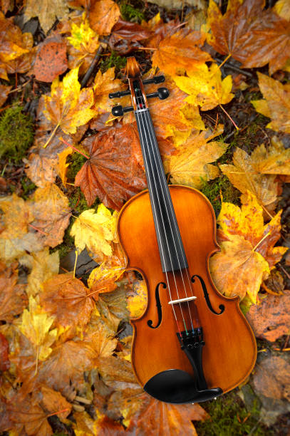 istock Violin Lying on Red and Orange Autumn Leaves Background 1187734738