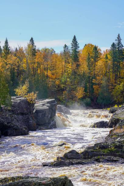 Scenic Autumn woods along the moving rapids of the St. Louis River at Jay Cooke State Park in northern Minnesota stock photo