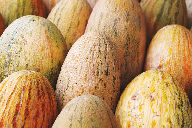 istock Melons are on the counter in a vegetable store 1187756233