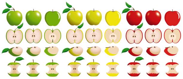 ilustrações, clipart, desenhos animados e ícones de jogo de maçãs vermelhas, amarelas e verdes suculentas com fatias e maçãs mordidas isoladas no fundo branco. - apple biting missing bite red