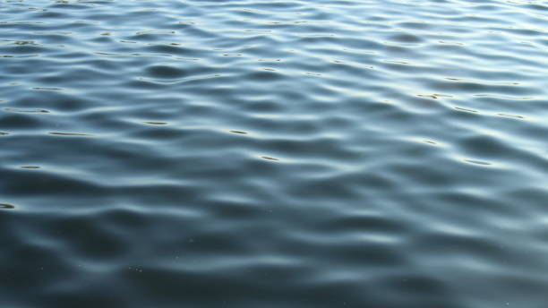 istock Close-Up Wavy Sea 1187756379