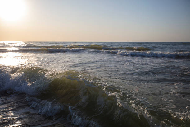 Seascape. The wave illuminated by the rising sun