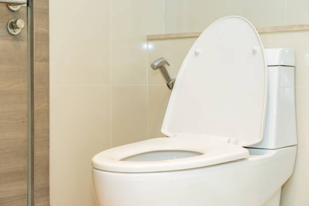 istock Toilet seat bowl in bathroom interior 1187760131