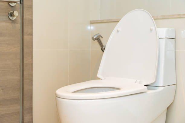 istock Toilet seat bowl in bathroom interior 1187760174