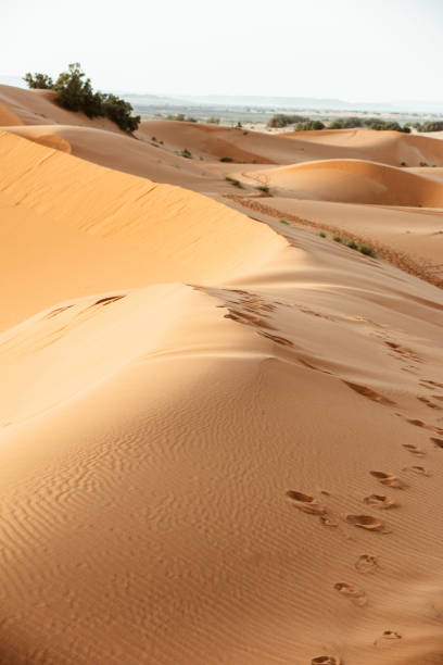 istock sand dunes in Merzouga 1187761305