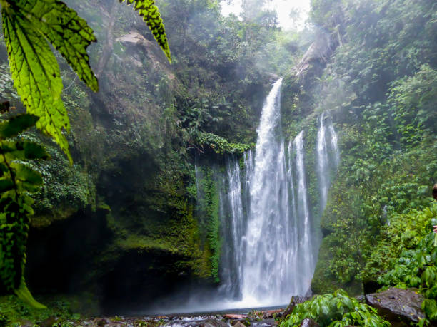 istock Lombok - Sendang Gile waterfall two days after a strong earthquake 1187766600