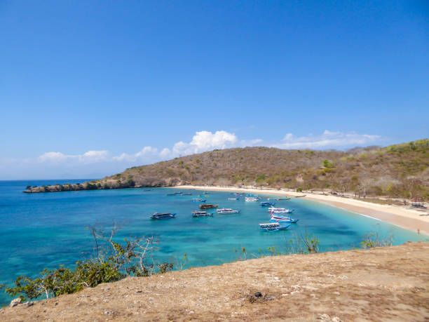 istock Lombok - Bay view from the cliff 1187766749